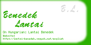 benedek lantai business card